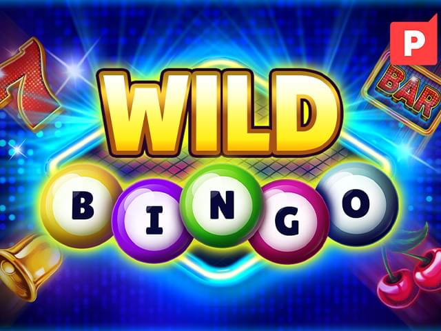 cc567 bet Bingo Selvagem